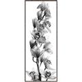 Picture of Orchid Flowers II  _GroupedProduct_Panel_Portrait_Photography _GroupedProduct_Panel_Portrait_Canvas_Framed_