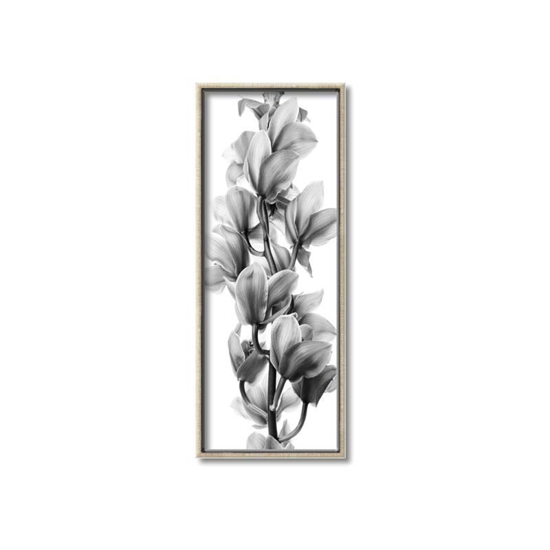 Picture of Orchid Flowers I  _GroupedProduct_Panel_Portrait_Photography _GroupedProduct_Panel_Portrait_Canvas_Framed_