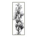 Picture of Orchid Flowers I  _GroupedProduct_Panel_Portrait_Photography _GroupedProduct_Panel_Portrait_Canvas_Framed_