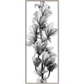 Picture of Orchid Flowers I  _GroupedProduct_Panel_Portrait_Photography _GroupedProduct_Panel_Portrait_Canvas_Framed_