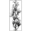 Picture of Orchid Flowers I  _GroupedProduct_Panel_Portrait_Photography _GroupedProduct_Panel_Portrait_Canvas_Framed_