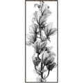 Picture of Orchid Flowers I  _GroupedProduct_Panel_Portrait_Photography _GroupedProduct_Panel_Portrait_Canvas_Framed_