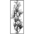Picture of Orchid Flowers I  _GroupedProduct_Panel_Portrait_Photography _GroupedProduct_Panel_Portrait_Canvas_Framed_