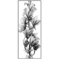 Picture of Orchid Flowers I  _GroupedProduct_Panel_Portrait_Photography _GroupedProduct_Panel_Portrait_Canvas_Framed_
