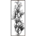 Picture of Orchid Flowers I  _GroupedProduct_Panel_Portrait_Photography _GroupedProduct_Panel_Portrait_Canvas_Framed_