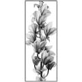 Picture of Orchid Flowers I  _GroupedProduct_Panel_Portrait_Photography _GroupedProduct_Panel_Portrait_Canvas_Framed_