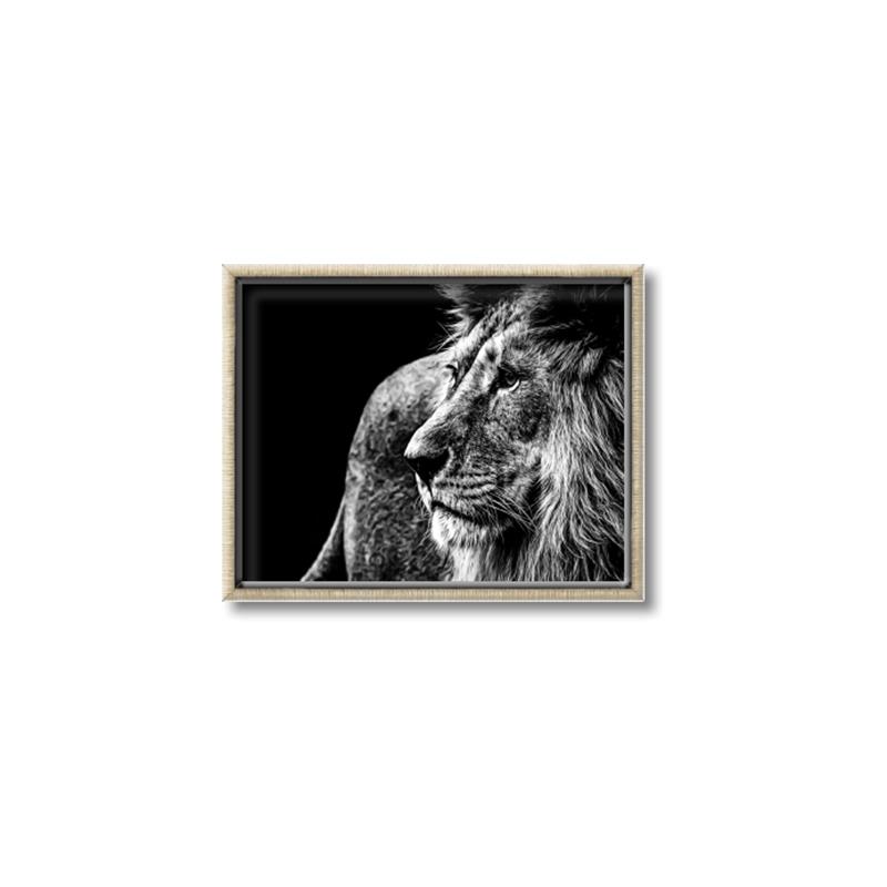 Picture of The Big Cat _GroupedProduct_Rectangle_Landscape_Photography _GroupedProduct_Rectangle_Landscape_Canvas_Framed_
