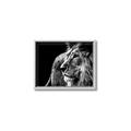 Picture of The Big Cat _GroupedProduct_Rectangle_Landscape_Photography _GroupedProduct_Rectangle_Landscape_Canvas_Framed_