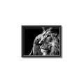 Picture of The Big Cat _GroupedProduct_Rectangle_Landscape_Photography _GroupedProduct_Rectangle_Landscape_Canvas_Framed_