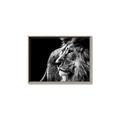 Picture of The Big Cat _GroupedProduct_Rectangle_Landscape_Photography _GroupedProduct_Rectangle_Landscape_Canvas_Framed_