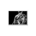 Picture of The Big Cat _GroupedProduct_Rectangle_Landscape_Photography _GroupedProduct_Rectangle_Landscape_Canvas_Framed_