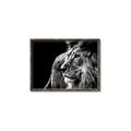 Picture of The Big Cat _GroupedProduct_Rectangle_Landscape_Photography _GroupedProduct_Rectangle_Landscape_Canvas_Framed_