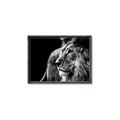 Picture of The Big Cat _GroupedProduct_Rectangle_Landscape_Photography _GroupedProduct_Rectangle_Landscape_Canvas_Framed_