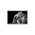 Picture of The Big Cat _GroupedProduct_Rectangle_Landscape_Photography _GroupedProduct_Rectangle_Landscape_Canvas_Framed_