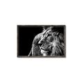 Picture of The Big Cat _GroupedProduct_Rectangle_Landscape_Photography _GroupedProduct_Rectangle_Landscape_Canvas_Framed_