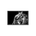 Picture of The Big Cat _GroupedProduct_Rectangle_Landscape_Photography _GroupedProduct_Rectangle_Landscape_Canvas_Framed_