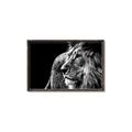 Picture of The Big Cat _GroupedProduct_Rectangle_Landscape_Photography _GroupedProduct_Rectangle_Landscape_Canvas_Framed_