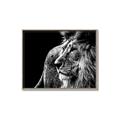 Picture of The Big Cat _GroupedProduct_Rectangle_Landscape_Photography _GroupedProduct_Rectangle_Landscape_Canvas_Framed_
