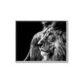 Picture of The Big Cat _GroupedProduct_Rectangle_Landscape_Photography _GroupedProduct_Rectangle_Landscape_Canvas_Framed_
