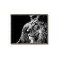 Picture of The Big Cat _GroupedProduct_Rectangle_Landscape_Photography _GroupedProduct_Rectangle_Landscape_Canvas_Framed_