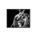 Picture of The Big Cat _GroupedProduct_Rectangle_Landscape_Photography _GroupedProduct_Rectangle_Landscape_Canvas_Framed_