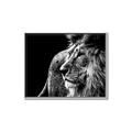 Picture of The Big Cat _GroupedProduct_Rectangle_Landscape_Photography _GroupedProduct_Rectangle_Landscape_Canvas_Framed_