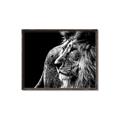Picture of The Big Cat _GroupedProduct_Rectangle_Landscape_Photography _GroupedProduct_Rectangle_Landscape_Canvas_Framed_