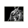 Picture of The Big Cat _GroupedProduct_Rectangle_Landscape_Photography _GroupedProduct_Rectangle_Landscape_Canvas_Framed_