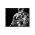 Picture of The Big Cat _GroupedProduct_Rectangle_Landscape_Photography _GroupedProduct_Rectangle_Landscape_Canvas_Framed_
