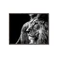 Picture of The Big Cat _GroupedProduct_Rectangle_Landscape_Photography _GroupedProduct_Rectangle_Landscape_Canvas_Framed_