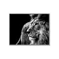 Picture of The Big Cat _GroupedProduct_Rectangle_Landscape_Photography _GroupedProduct_Rectangle_Landscape_Canvas_Framed_