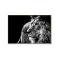 Picture of The Big Cat _GroupedProduct_Rectangle_Landscape_Photography _GroupedProduct_Rectangle_Landscape_Canvas_Framed_