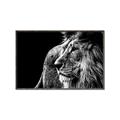 Picture of The Big Cat _GroupedProduct_Rectangle_Landscape_Photography _GroupedProduct_Rectangle_Landscape_Canvas_Framed_