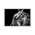 Picture of The Big Cat _GroupedProduct_Rectangle_Landscape_Photography _GroupedProduct_Rectangle_Landscape_Canvas_Framed_