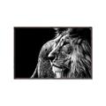 Picture of The Big Cat _GroupedProduct_Rectangle_Landscape_Photography _GroupedProduct_Rectangle_Landscape_Canvas_Framed_