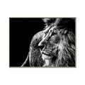 Picture of The Big Cat _GroupedProduct_Rectangle_Landscape_Photography _GroupedProduct_Rectangle_Landscape_Canvas_Framed_