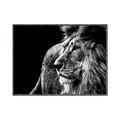 Picture of The Big Cat _GroupedProduct_Rectangle_Landscape_Photography _GroupedProduct_Rectangle_Landscape_Canvas_Framed_