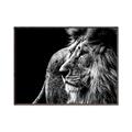 Picture of The Big Cat _GroupedProduct_Rectangle_Landscape_Photography _GroupedProduct_Rectangle_Landscape_Canvas_Framed_