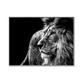 Picture of The Big Cat _GroupedProduct_Rectangle_Landscape_Photography _GroupedProduct_Rectangle_Landscape_Canvas_Framed_