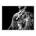 Picture of The Big Cat _GroupedProduct_Rectangle_Landscape_Photography _GroupedProduct_Rectangle_Landscape_Canvas_Framed_