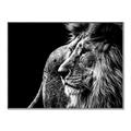 Picture of The Big Cat _GroupedProduct_Rectangle_Landscape_Photography _GroupedProduct_Rectangle_Landscape_Canvas_Framed_