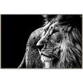 Picture of The Big Cat _GroupedProduct_Rectangle_Landscape_Photography _GroupedProduct_Rectangle_Landscape_Canvas_Framed_