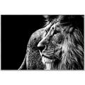 Picture of The Big Cat _GroupedProduct_Rectangle_Landscape_Photography _GroupedProduct_Rectangle_Landscape_Canvas_Framed_
