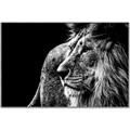 Picture of The Big Cat _GroupedProduct_Rectangle_Landscape_Photography _GroupedProduct_Rectangle_Landscape_Canvas_Framed_