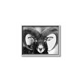 Picture of The Ram _GroupedProduct_Rectangle_Landscape_Photography _GroupedProduct_Rectangle_Landscape_Canvas_Framed_