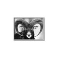 Picture of The Ram _GroupedProduct_Rectangle_Landscape_Photography _GroupedProduct_Rectangle_Landscape_Canvas_Framed_