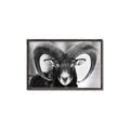 Picture of The Ram _GroupedProduct_Rectangle_Landscape_Photography _GroupedProduct_Rectangle_Landscape_Canvas_Framed_