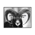 Picture of The Ram _GroupedProduct_Rectangle_Landscape_Photography _GroupedProduct_Rectangle_Landscape_Canvas_Framed_