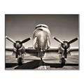 Picture of On the Runway _GroupedProduct_Rectangle_Landscape_Photography _GroupedProduct_Rectangle_Landscape_Canvas_Framed_