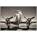 Picture of On the Runway _GroupedProduct_Rectangle_Landscape_Photography _GroupedProduct_Rectangle_Landscape_Canvas_Framed_